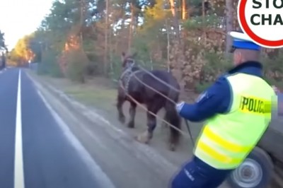 Miał 3-promile gdy znaleźli go policjanci na środku drogi