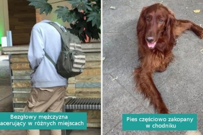 16 mylących zdjęć, które zmusiły nas do wytężenia mózgu