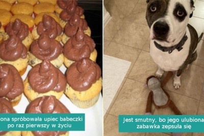 16 zdjęć, które wzbudzają współczucie i potrzebę pocieszenie tych pechowców