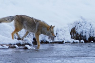 Codzienna porcja ciekawych i zabawnych filmików #629