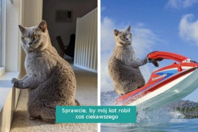 14 zdjęć, które trafiły w ręce mistrzów Photoshopa