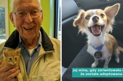 16 szczęśliwych zwierzaków, które znalazły nowy dom i kochających właścicieli