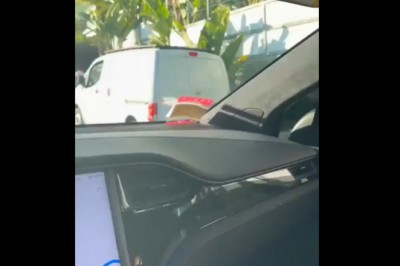 Kiedy na światłach pytasz dziewczynę co to za rasa psa