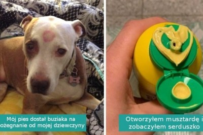 17 zwykłych drobiazgów, które umiliły ludziom szary dzień