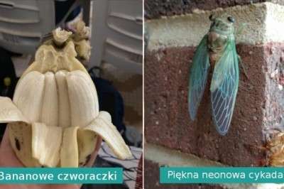 20 cudów natury, które pokazują, że świat ciągle jest pełen niespodzianek