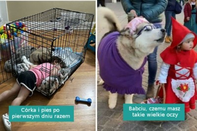 17 zdjęć psów, które emanują ciepłem i radością