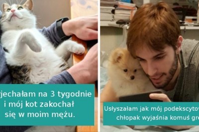 20 bezwstydnych zwierzaków, które ukradły partnerów swoich właścicieli