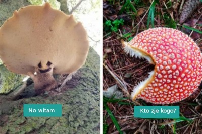 16 osób, które znalazły niezwykłe skarby na łonie natury