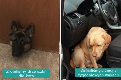 Każde z tych zdjęć ma za sobą wzruszającą i ciekawą historię powstania