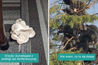 17 zdjęć pokazujących, że naturze nigdy nie skończą się niespodzianki