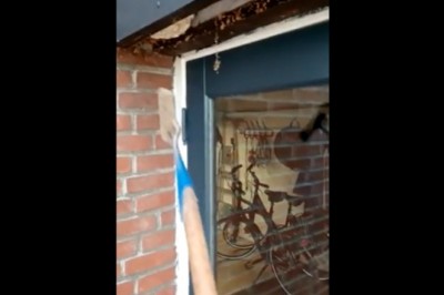 Chciał samemu usunąć gniazdo os. Szybko pożałował