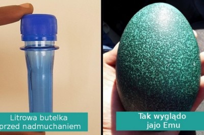 14 odkryć internautów, które mogą zmienić wasze spojrzenie na zwykłe rzeczy