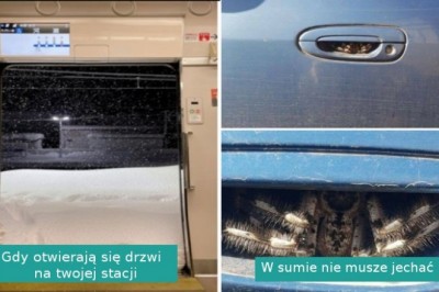 17 osób, które pechowo znalazły się w wyjątkowo niefortunnych sytuacjach