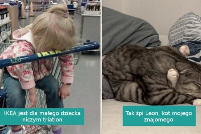 15 osób, którym udało się zrobić zdjęcie w idealnym momencie