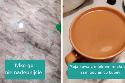 18 zdjęć pokazujących perfekcyjny „przypadkowy idealny kamuflaż”