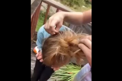 A Ty co byś zrobiła gdyby wiewiórka zaplątała Ci się we włosach?