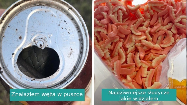 15 nietypowych odkryć, które sprawiły, że rozdziawiliśmy usta ze zdumienia