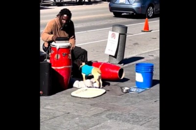 Uliczny artysta i jego wytresowany pies, który dba o kasę