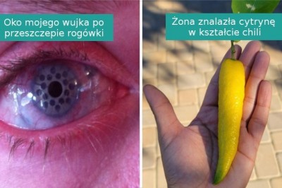 16 sytuacji, w których świat pokazał nam swoje osobliwości