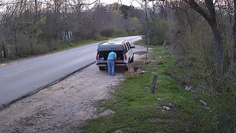 Wysadził owczarka na poboczu i odjechał. Pies biegł za autem