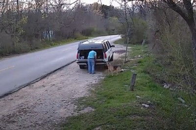 Wysadził owczarka na poboczu i odjechał. Pies biegł za autem