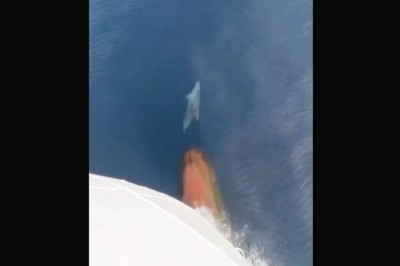 Nic bardziej relaksującego dzisiaj nie zobaczysz