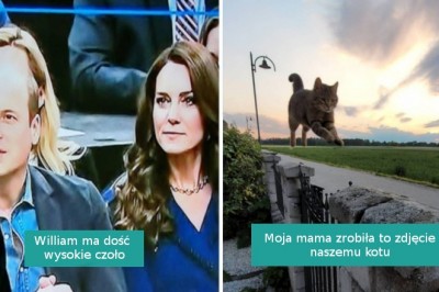 14 dziwnych przypadków, które oszukały nasz wzrok