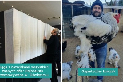 15 rzeczy i stworzeń, których rozmiar wprawił nas w osłupienie