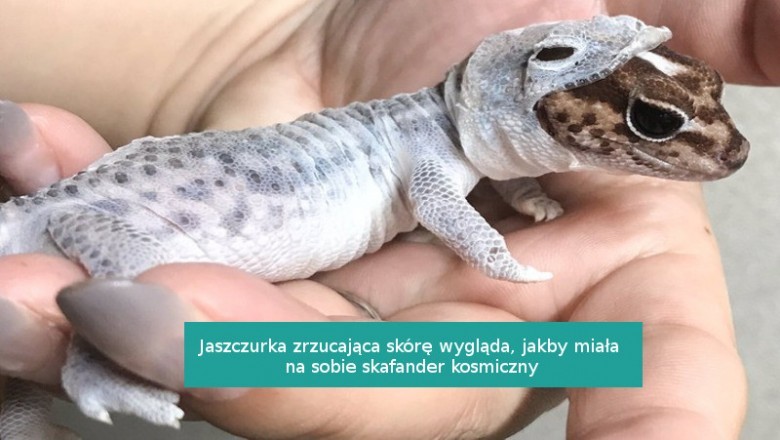 14 zdjęć, które pokazują, że na świecie wciąż istnieje wiele niespodzianek