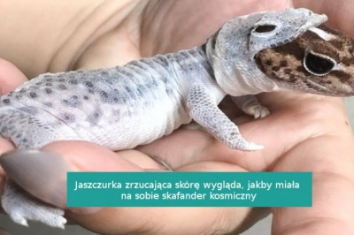 14 zdjęć, które pokazują, że na świecie wciąż istnieje wiele niespodzianek