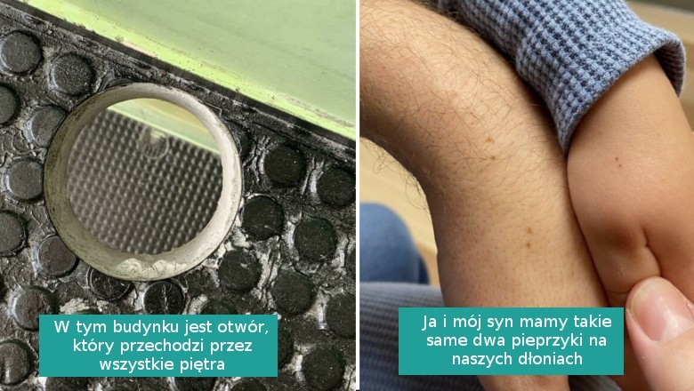 15 „umiarkowanie interesujących” zdjęć pokazujących, że codzienność potrafi zaskoczyć