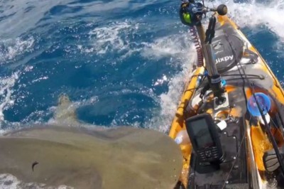 Kiedy zdajesz sobie sprawę, że poluje na Ciebie ogromny rekin