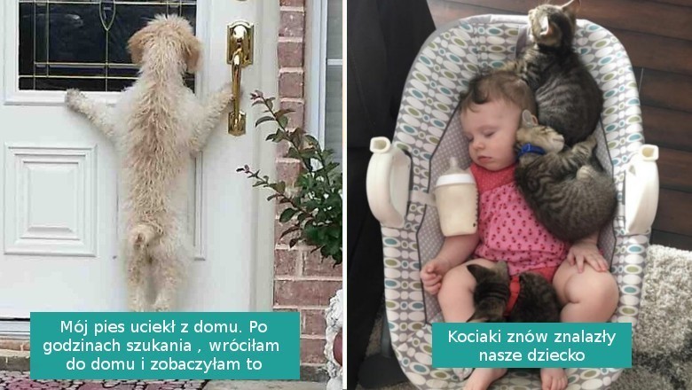 17 zwierzaków, które poprawią twój nastrój w trudnym dniu