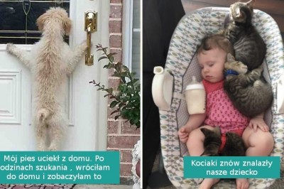 17 zwierzaków, które poprawią twój nastrój w trudnym dniu