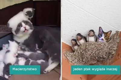 16 zwierzaków, z którymi nie ma ani chwili nudy