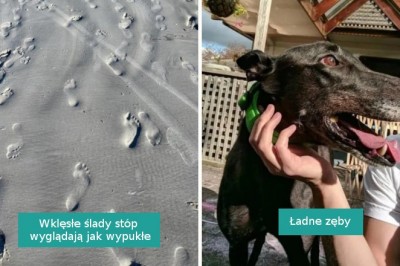 16 zdjęć, które sprawiły, że zwątpiliśmy w nasz wzrok