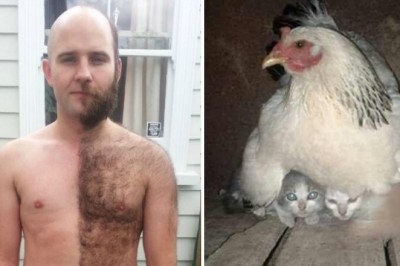 14 fotografii, które sprawią, że przetrzesz oczy ze zdumienia