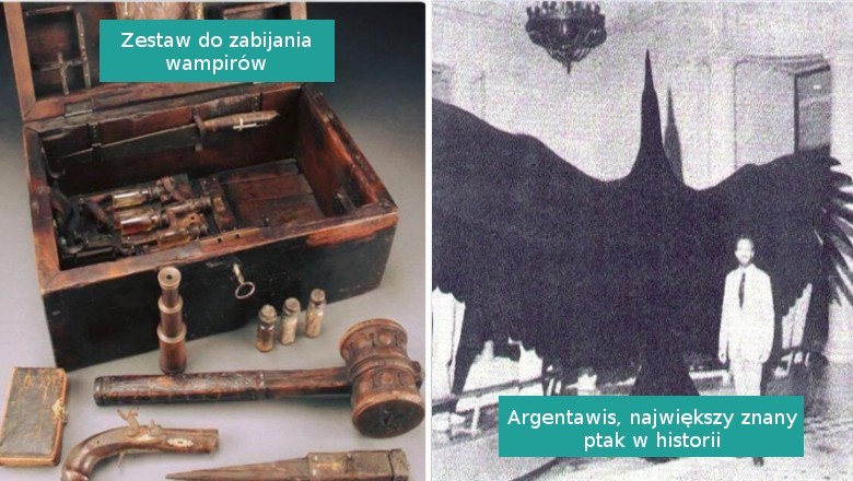 17 interesujących i dziwnych ciekawostek historycznych