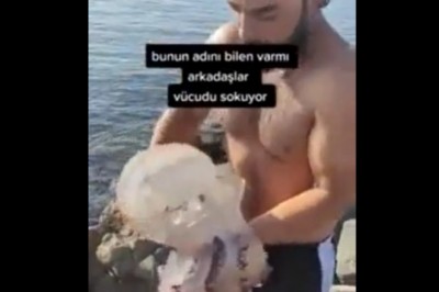 Myślał, że to ośmiornica. Boleśnie przekonał się, że nie