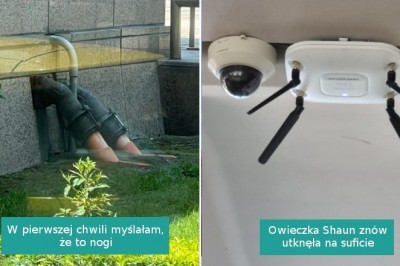 16 zdjęć, które sprawiły, że przetarliśmy oczy ze zdumienia