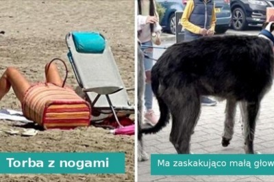 15 zdjęć, których nie da się pojąć na pierwszy rzut oka