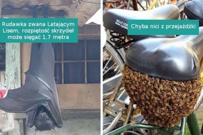 20 przykładów, gdy matka natura mówi nam zdecydowane NIE i czas się wycofać