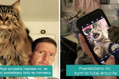 20 najzabawniejszych zdjęć kotów wrzuconych do Internetu przez właścicieli
