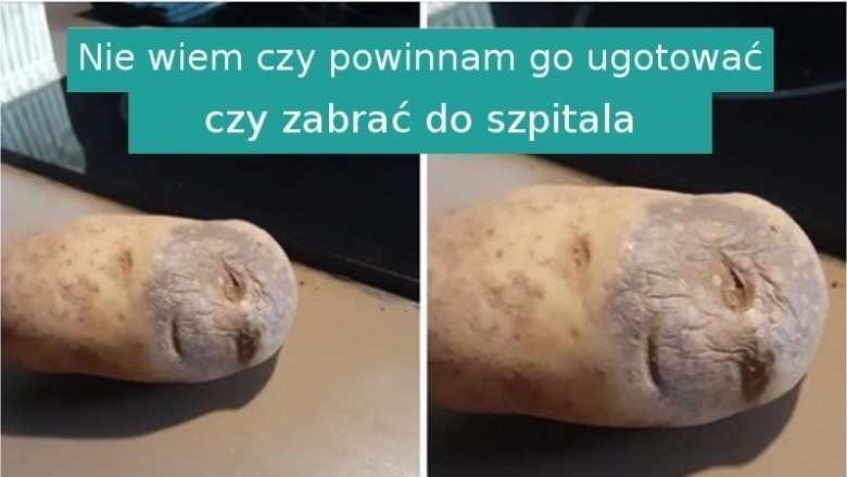 16 podstępnych zdjęć, które przedstawiają coś zupełnie innego niż myślimy