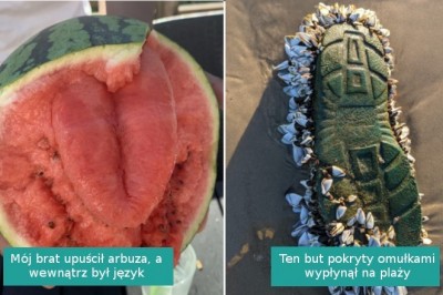 17 zdjęć pokazujących, że natura potrafi zaskoczyć nas czymś niewiarygodnym