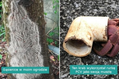 18 zdjęć pokazujących mniej piękne ale równie fascynujące oblicze natury