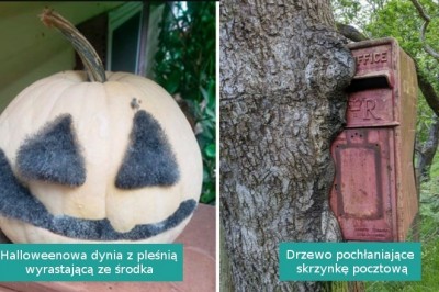 16 rzeczy, które nadgryzł ząb czasu