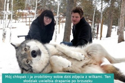 17 niebezpiecznych zwierzaków, które potrafią być również urocze. Groźne słodziaki