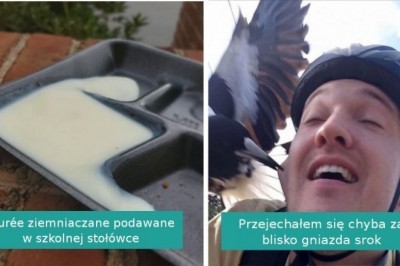 15 osób, które opuściło szczęście. Raczej miały gorszy dzień od Ciebie