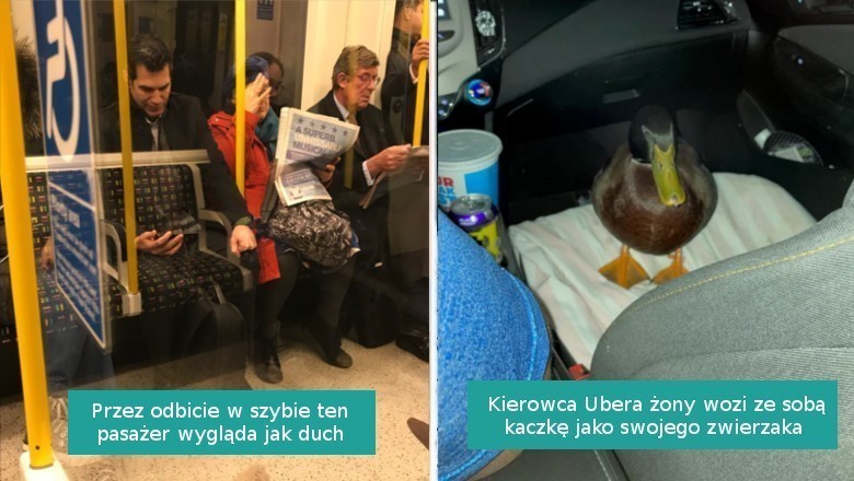 16 fotografii pokazujących, że małe cuda otaczają nas z każdej strony